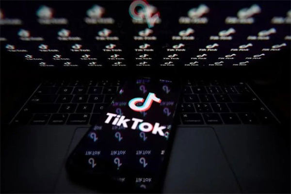 怎么在抖音国际版Tik Tok赚钱?Tik Tok撸美金项目 TikTok 抖音 网赚 博客运营 第1张 怎么在抖音国际版Tik Tok赚钱?Tik Tok撸美金项目 TikTok 抖音 网赚 博客运营 第1张
