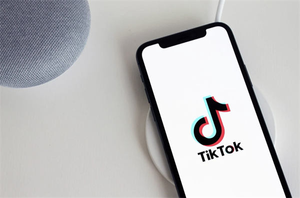如何让TikTok获得更多点赞量 TikTok SEO推广 第4张 如何让TikTok获得更多点赞量 TikTok SEO推广 第4张
