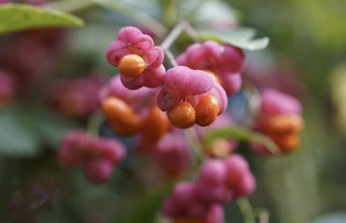 都什么年代了还用传统方式取经？