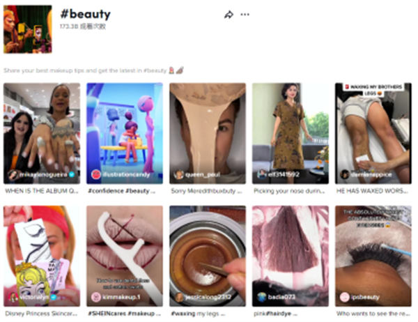 如何让TikTok获得更多点赞量 TikTok SEO推广 第2张 如何让TikTok获得更多点赞量 TikTok SEO推广 第2张